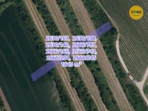 Prodej pole, Čejkovice, 3674 m2