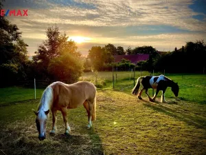 Prodej zemědělské usedlosti, Uhelná Příbram, 300 m2