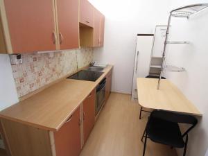 Pronájem bytu 1+1, Karlovy Vary, U Koupaliště, 26 m2