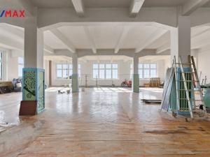 Prodej výrobních prostor, Aš, Tyršova, 4044 m2