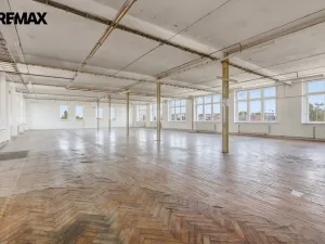 Prodej výrobních prostor, Aš, Tyršova, 4434 m2