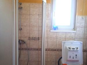Pronájem pokoje, Osvračín, 24 m2