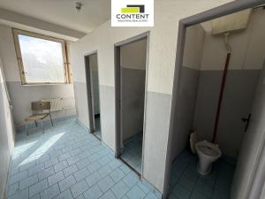 Prodej skladu, Jablonec nad Nisou - Mšeno nad Nisou, Vedlejší, 8651 m2