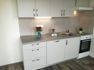 Pronájem bytu 1+1, Ostrava - Mariánské Hory, Gen. Hrušky, 38 m2