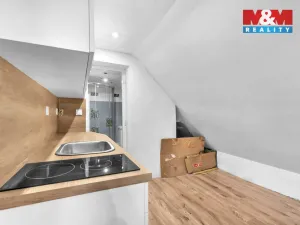 Prodej rodinného domu, Rokytnice nad Jizerou - Horní Rokytnice, 440 m2