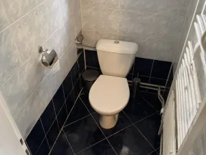 Prodej rodinného domu, Horky, 180 m2