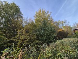 Prodej chaty, Třinec, Kaštanová, 30 m2