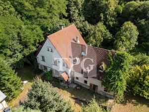 Prodej vícegeneračního domu, Deštnice, 530 m2