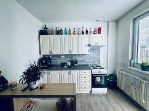 Pronájem bytu 2+kk, Česká Lípa, Červeného kříže, 50 m2