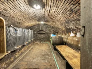 Prodej rodinného domu, Dolní Dunajovice, Zahradní, 170 m2