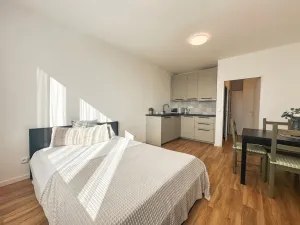 Pronájem bytu 1+kk, Praha - Michle, Bítovská, 25 m2