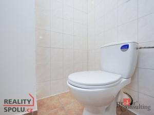 Pronájem bytu 2+kk, Mlékojedy, 51 m2