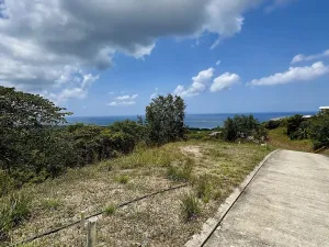 Prodej pozemku pro bydlení, José Santos Guardiola,, Honduras, 740 m2