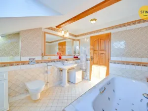 Prodej vily, Luže - Radim, 700 m2