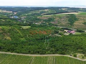 Prodej sadu/vinice, Němčičky, 835 m2