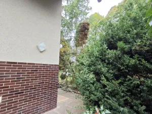 Prodej rodinného domu, Hostín u Vojkovic, 200 m2