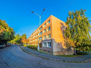 Pronájem bytu 2+kk, Králův Dvůr, Nad Stadionem, 40 m2