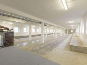 Pronájem skladu, Zámrsk - Nová Ves, 700 m2