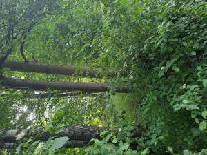 Prodej pozemku, Rožnov pod Radhoštěm, 126 m2