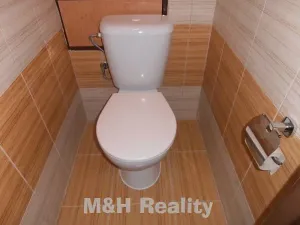 Pronájem bytu 3+1, Frýdlant nad Ostravicí, Hlavní, 75 m2