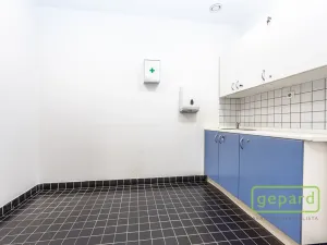 Pronájem kanceláře, Praha - Motol, Plzeňská, 213 m2