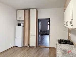 Pronájem bytu 1+1, Děčín - Děčín III-Staré Město, Žerotínova, 51 m2