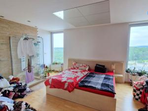 Prodej bytu 4+kk, Brno - Lesná, Majdalenky, 446 m2