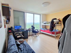 Prodej bytu 4+kk, Brno - Lesná, Majdalenky, 446 m2