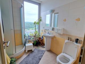 Prodej bytu 4+kk, Brno - Lesná, Majdalenky, 446 m2