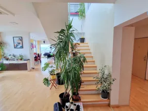 Prodej bytu 4+kk, Brno - Lesná, Majdalenky, 446 m2
