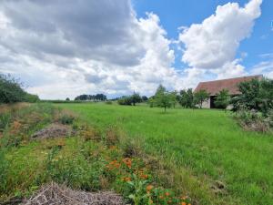 Prodej pozemku pro bydlení, Rešice, 3572 m2