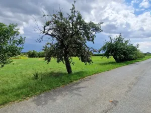 Prodej pozemku pro bydlení, Rešice, 3572 m2