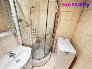 Pronájem bytu 3+1, Chomutov, Vrchlického, 68 m2