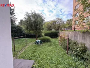 Prodej bytu 1+kk, Olomouc, Wolkerova, 33 m2