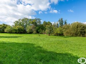 Prodej zemědělské usedlosti, Buzice, 145 m2