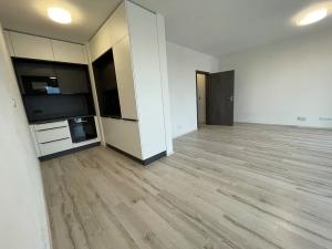 Pronájem bytu 1+kk, Plzeň, Pecháčkova, 47 m2