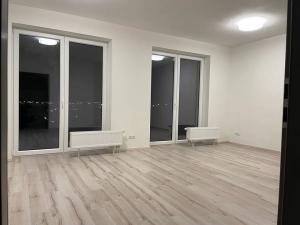Pronájem bytu 1+kk, Plzeň, Pecháčkova, 47 m2
