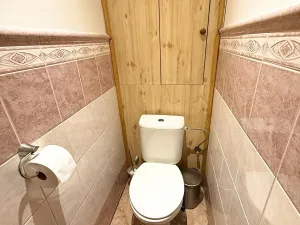 Prodej bytu 2+1, Kralupy nad Vltavou, 50 m2