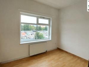 Pronájem bytu 1+1, Cheb, Joštova, 34 m2