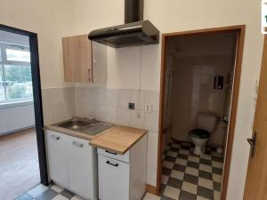 Pronájem bytu 1+1, Cheb, Joštova, 34 m2