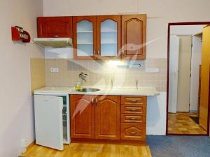 Pronájem bytu 1+kk, Plzeň, Skupova, 20 m2