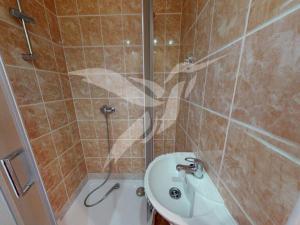 Pronájem bytu 1+kk, Plzeň, Skupova, 20 m2