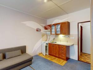 Pronájem bytu 1+kk, Plzeň, Skupova, 20 m2