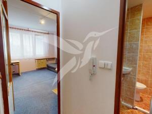 Pronájem bytu 1+kk, Plzeň, Skupova, 20 m2