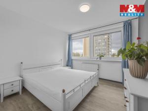 Pronájem bytu 2+kk, Pardubice - Zelené Předměstí, nábřeží Závodu míru, 58 m2