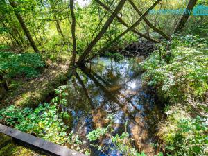 Prodej komerčního pozemku, Cheb, 86573 m2