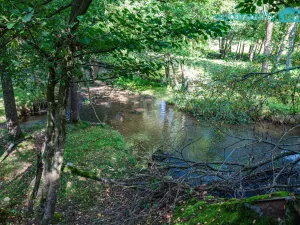 Prodej komerčního pozemku, Cheb, 86573 m2