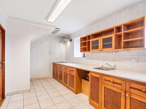 Prodej rodinného domu, Cvikov - Lindava, 380 m2