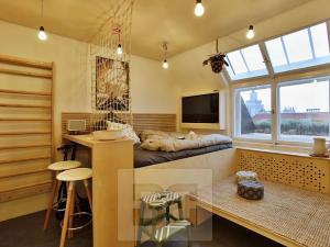 Pronájem bytu 1+kk, Praha - Bubeneč, Zelená, 16 m2