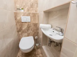 Pronájem bytu 2+kk, Praha - Staré Město, Náprstkova, 38 m2